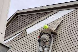 Professional Siding in Lemmon Valley, NV